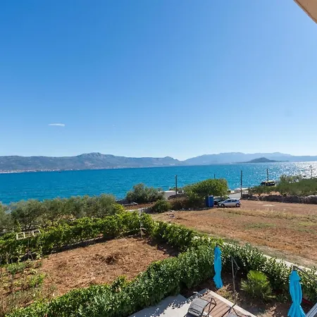 Piramida טרוגיר