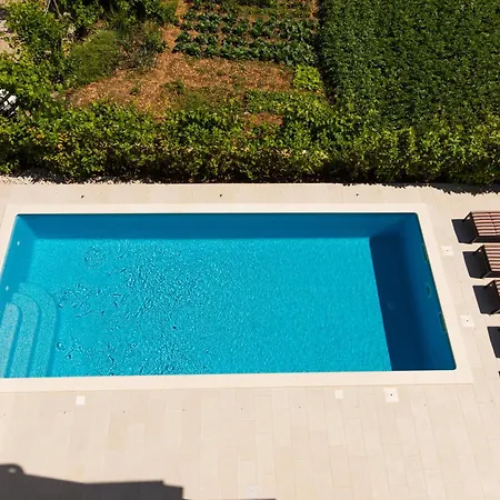 Piramida * تروغير